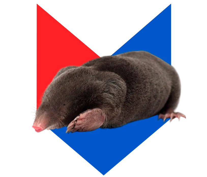 Крот